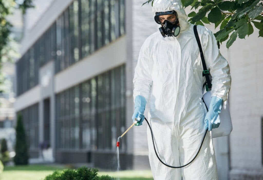 İlaçlama Hizmetleri