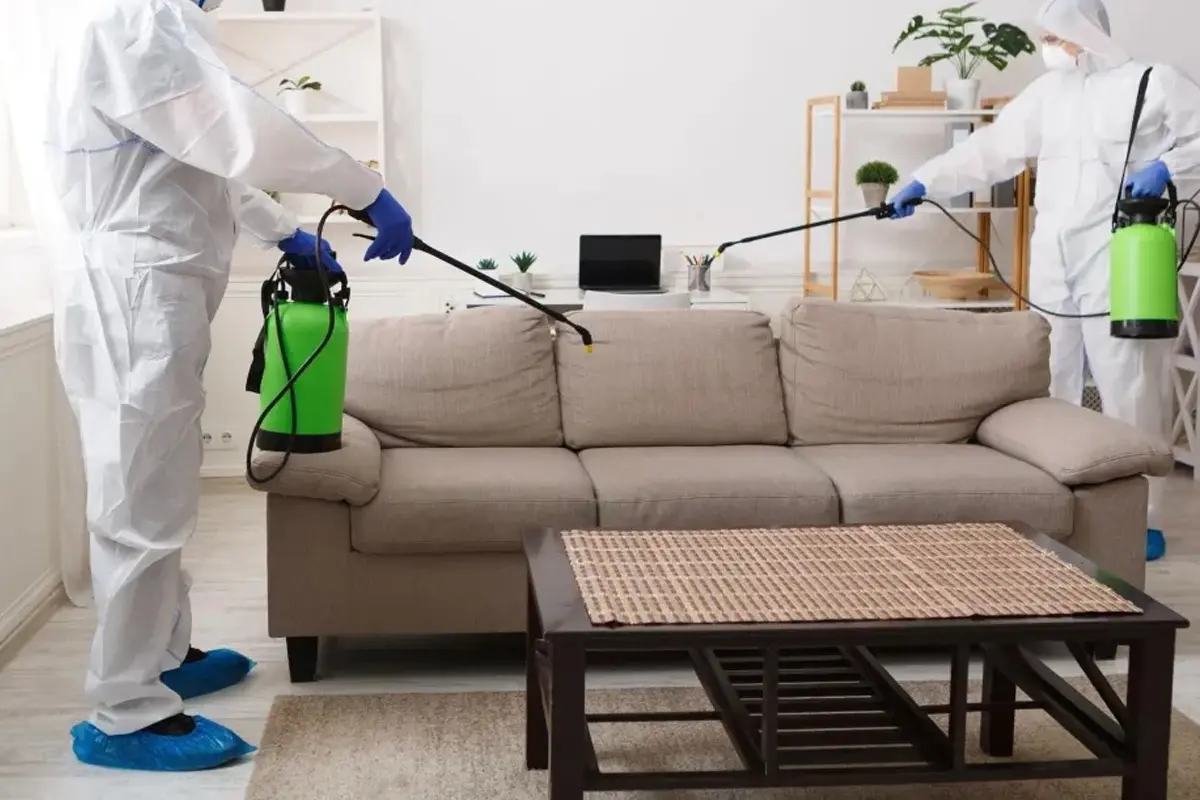 Ev İlaçlama Hizmetleri